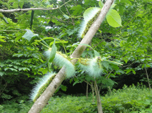 f0232920_11372771.gif