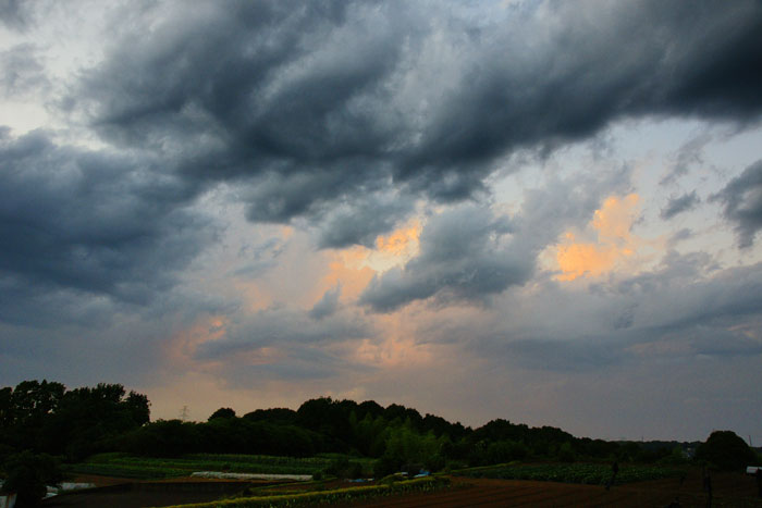 夏雲続く夕_e0077521_22481313.jpg