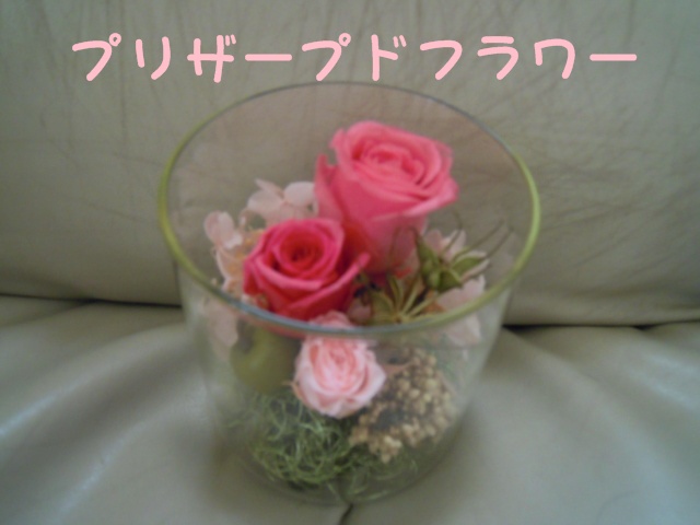 c0166622_8181816.jpg