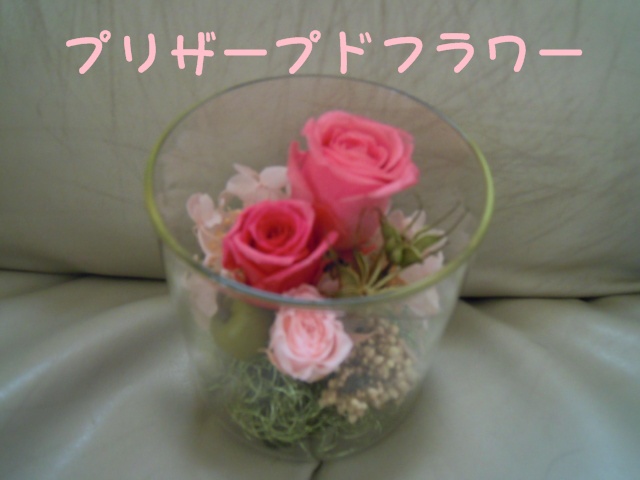 話題のお花・・・_c0166622_8181816.jpg