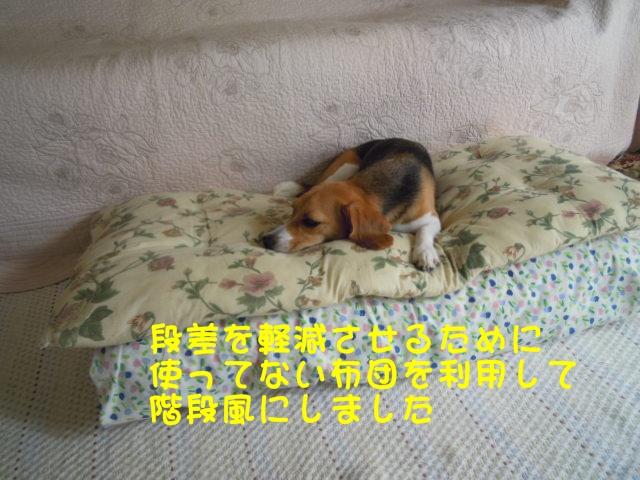 c0166622_8554061.jpg