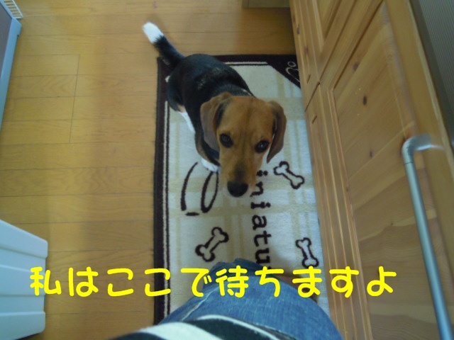 c0166622_9263883.jpg