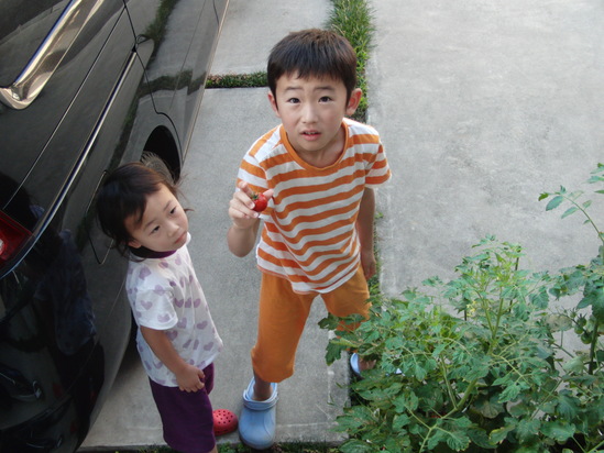 b0047423_16104759.jpg