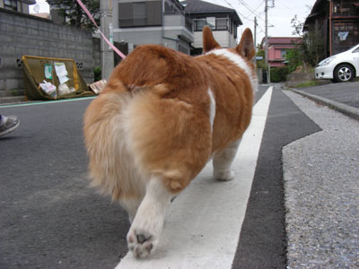 赤い人_d0102523_2282427.jpg
