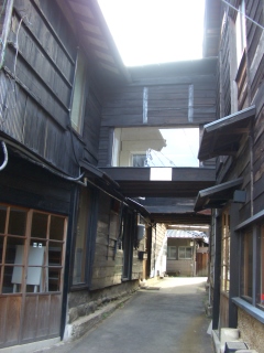 e0008223_5531229.jpg