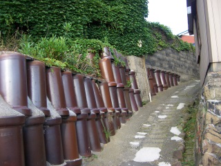 e0008223_553889.jpg