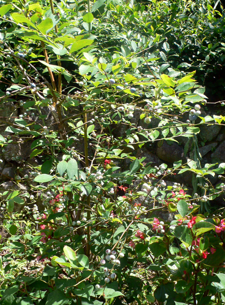 f0060424_10324479.jpg