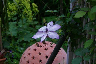 f0170524_2012239.jpg
