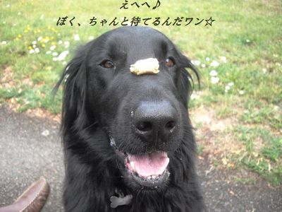 つめた~い♪冷やし和風パスタ_d0104926_63045100.jpg