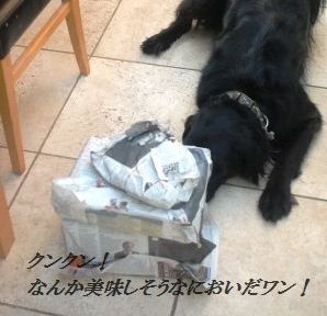 つめた~い♪冷やし和風パスタ_d0104926_647264.jpg