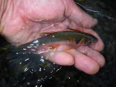 c0202727_22192965.jpg