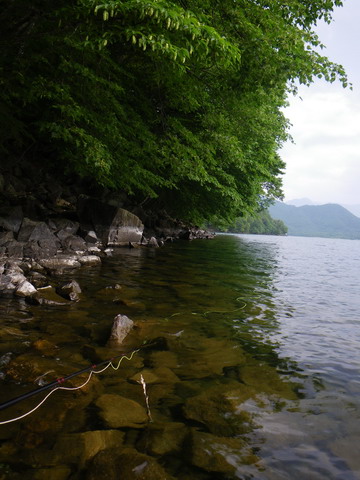 c0202727_22235710.jpg