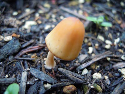 e0097534_15245168.jpg