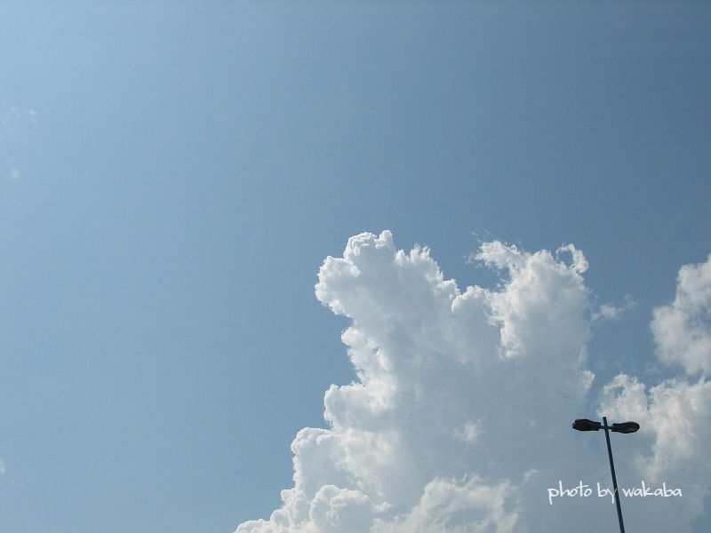 e0052135_18341635.jpg