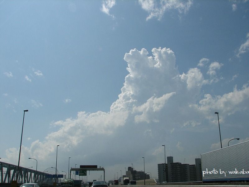 e0052135_1834265.jpg