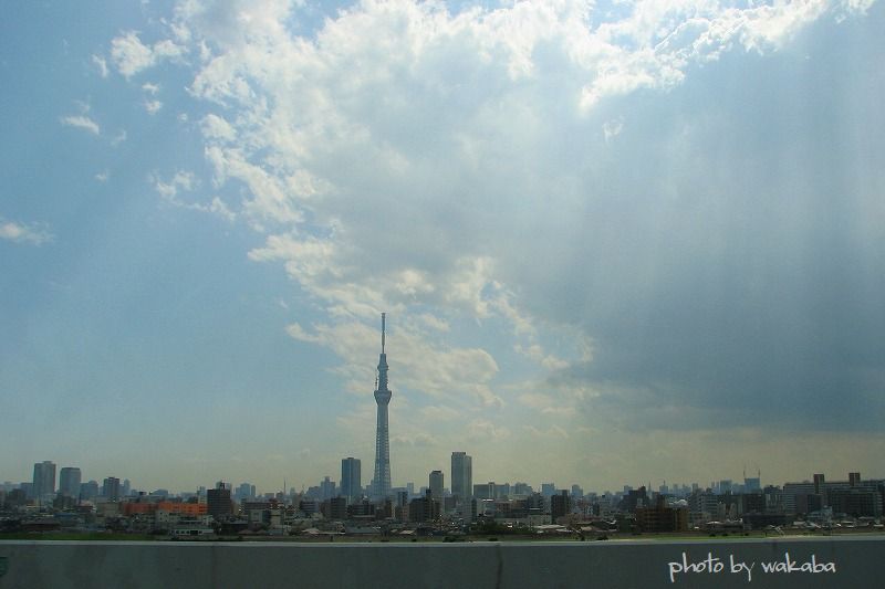 e0052135_18362788.jpg