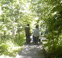 f0161535_231671.jpg