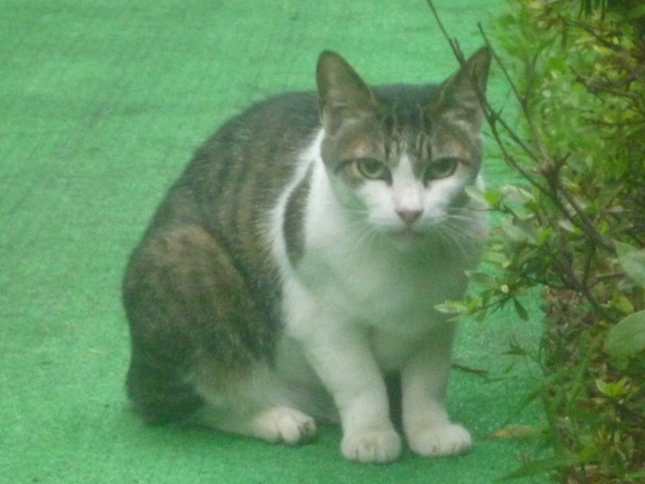 わが人生に悔いなしって_b0217741_242565.jpg