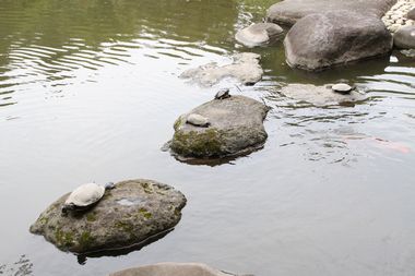 c0199743_1913391.jpg
