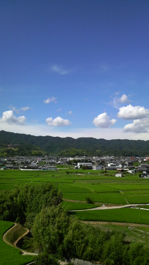 b0216949_21461960.jpg