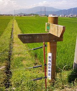 初夏の水環境ウォーキング_f0197754_23571732.jpg