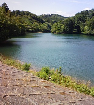 初夏の水環境ウォーキング_f0197754_2358824.jpg