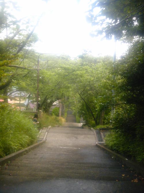 桜 From 石巻市羽黒山公園 飯沢康輔ブログ Art Whisky