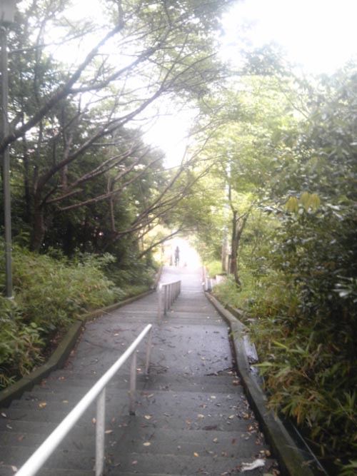 桜 From 石巻市羽黒山公園 飯沢康輔ブログ Art Whisky