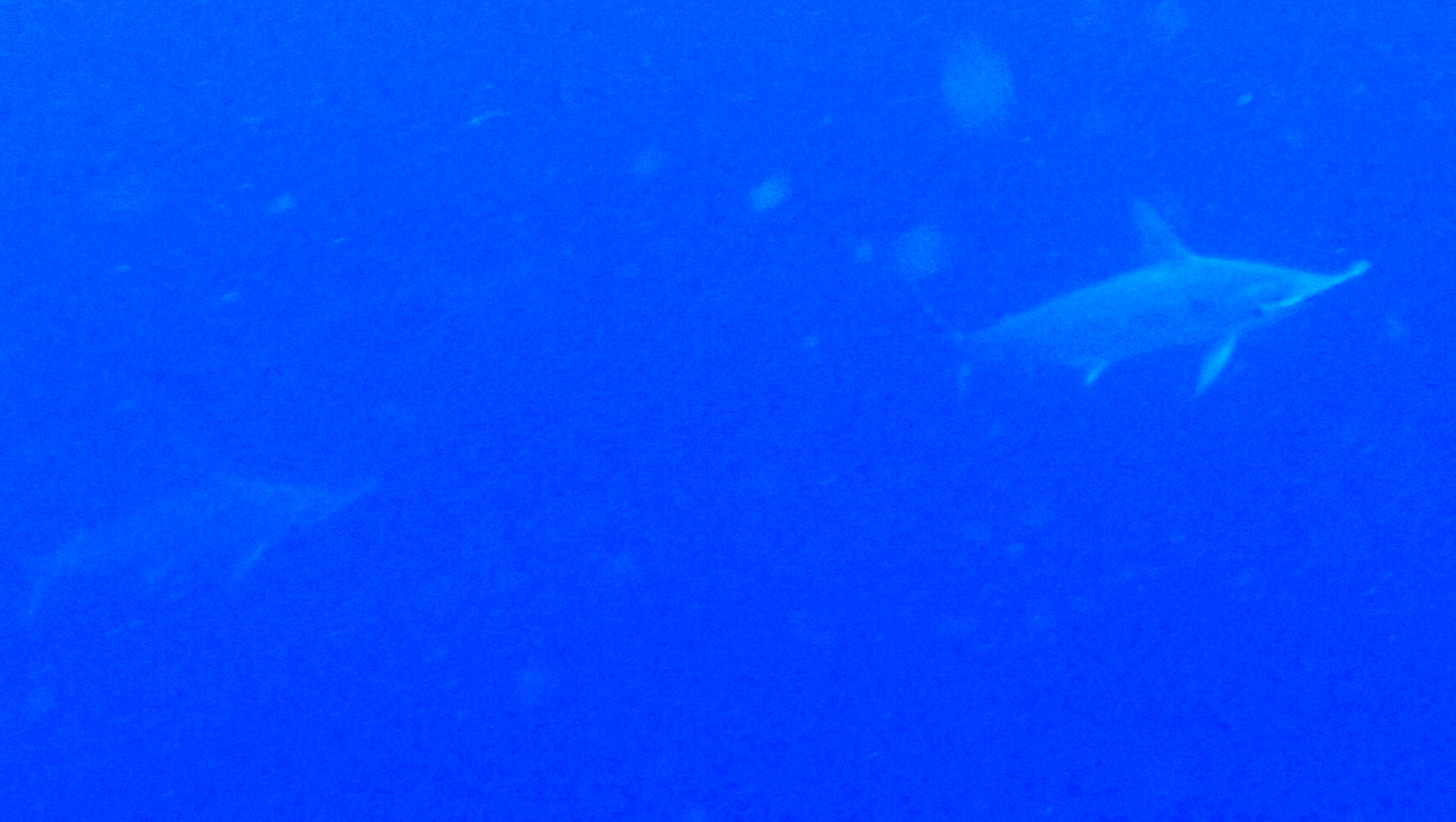 d0113459_1858216.jpg