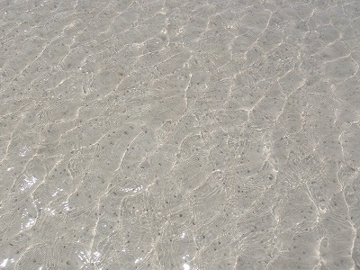 c0180460_1225540.jpg