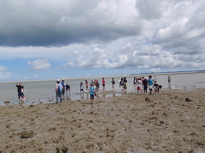 c0180460_1241882.jpg