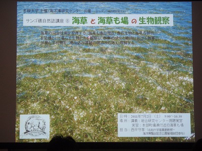 海草と海草藻場の生物観察_c0180460_14335413.jpg