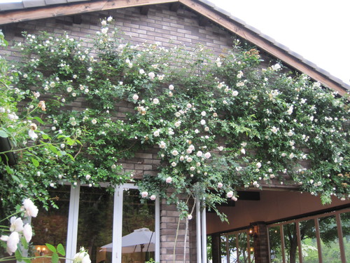 f0236260_056289.jpg