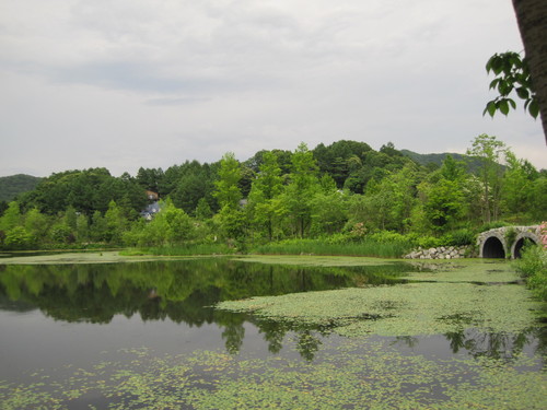 f0236260_1222046.jpg