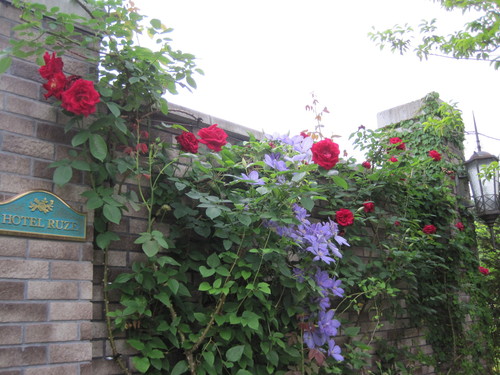f0236260_17253629.jpg