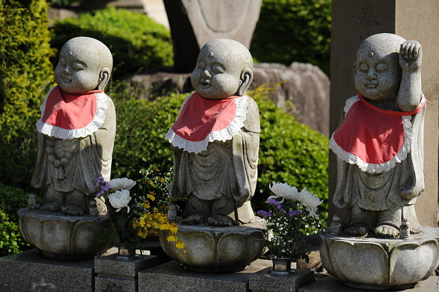 秩父札所第十二番野坂寺 ~藤･睡蓮~_f0222161_116911.jpg