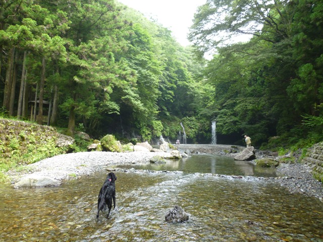 2011　陣馬の滝_c0134862_034841.jpg