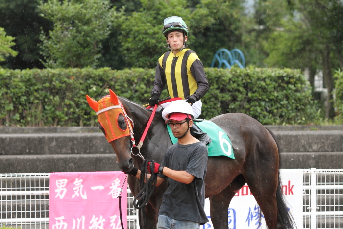 2011年7月1日(金) 高知競馬 6R C3-5選抜馬_a0077663_744134.jpg