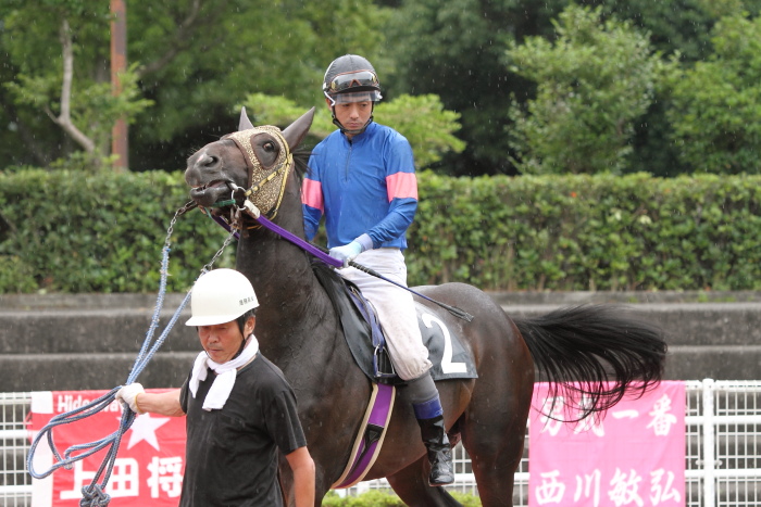 2011年7月1日(金) 高知競馬 6R C3-5選抜馬_a0077663_74523.jpg