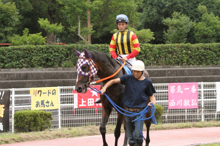 2011年7月1日(金) 高知競馬 6R C3-5選抜馬_a0077663_751396.jpg