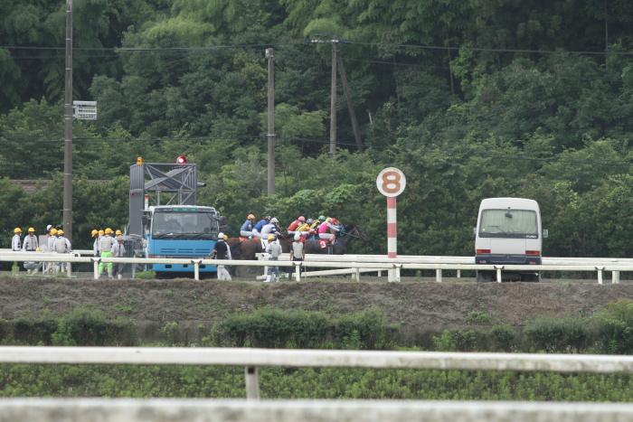 2011年7月1日（金） 高知競馬 6R C3-5選抜馬_a0077663_752178.jpg