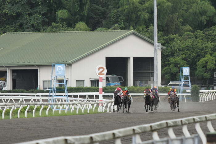 2011年7月1日（金） 高知競馬 6R C3-5選抜馬_a0077663_753097.jpg