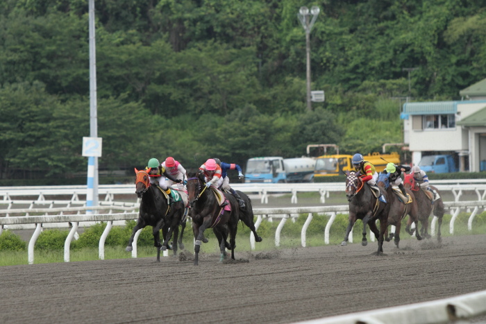 2011年7月1日（金） 高知競馬 6R C3-5選抜馬_a0077663_754091.jpg
