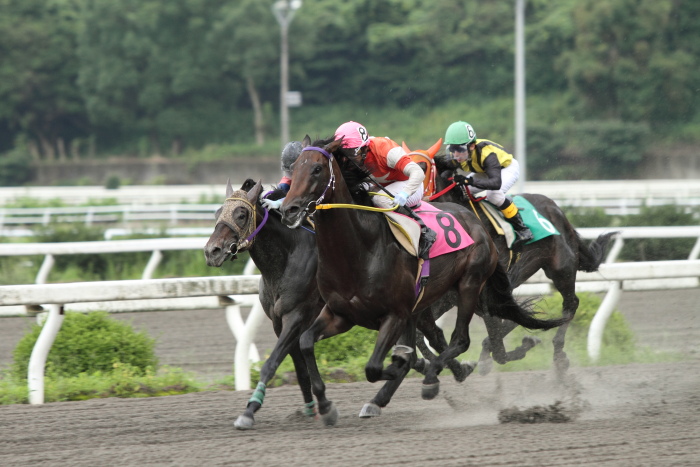 2011年7月1日（金） 高知競馬 6R C3-5選抜馬_a0077663_754714.jpg
