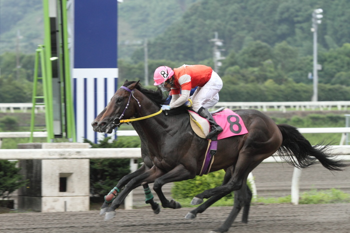 2011年7月1日(金) 高知競馬 6R C3-5選抜馬_a0077663_755629.jpg