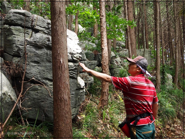 竜ヶ石山（359.1m）　2011年6月14日　お散歩ハイクその１。_d0071563_2231950.jpg