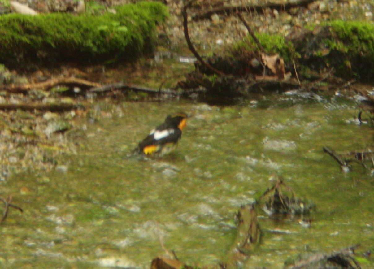 a0053771_20103237.jpg