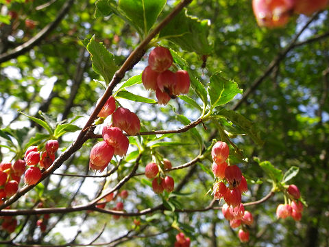 c0002874_7103140.jpg