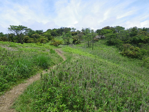 久しぶりの山歩き（比良）_c0002874_795068.jpg