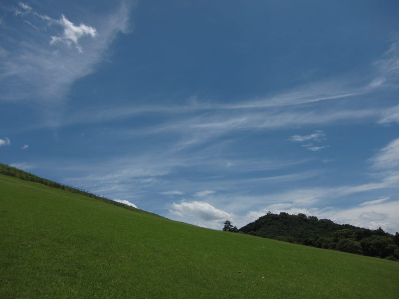 やっぱりここからの景色は最高！！静寂と透明感あふれる山道を行く－奈良・若草山_e0138081_1948489.jpg
